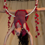 aerial-aerialist-036